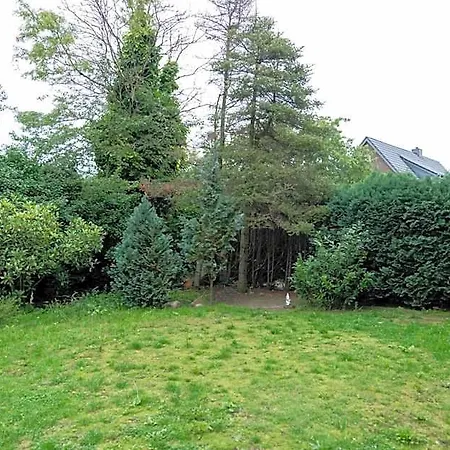 Zum Hahn Bed & Breakfast